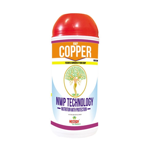 NWP - Copper (600gm.) 
